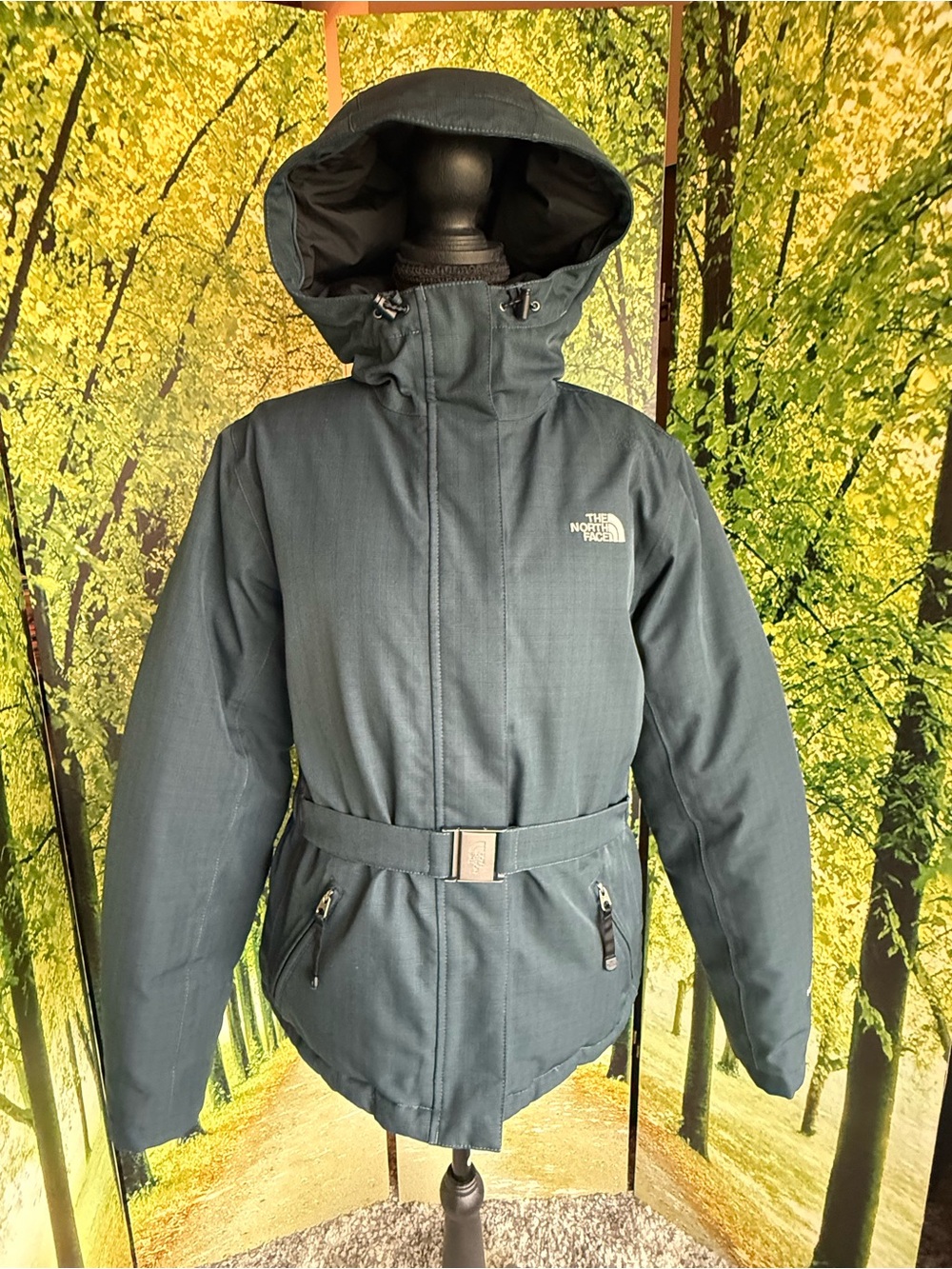 The North Face Parka Womens M HyVent Down Belted Hooded Teal Green Gorpcore